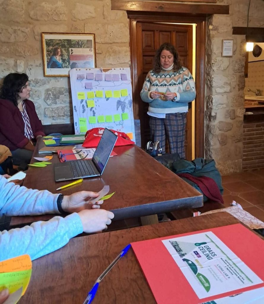 final Spanish living lab - meeting - innovators talking