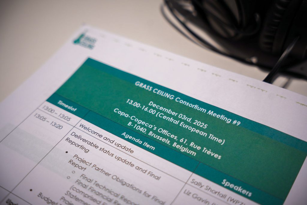 Agenda of the final consortium meeting